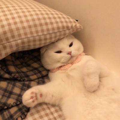 首发天玑9500s 搭9000mAh大电池